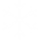 Icons8 winter 100